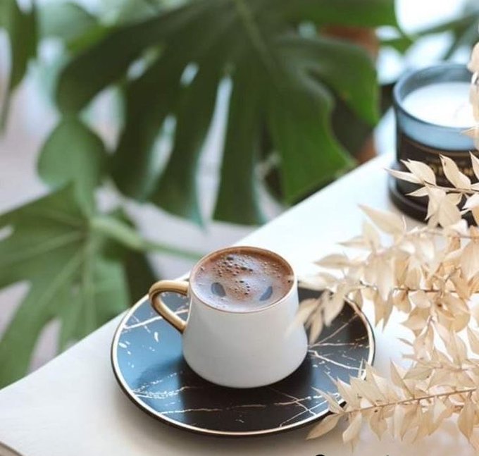 Aesthetic photograph of a white ceramic cup of frothy coffee on a black marble-patterned saucer, styled with dried foliage and a green monstera leaf in the background.