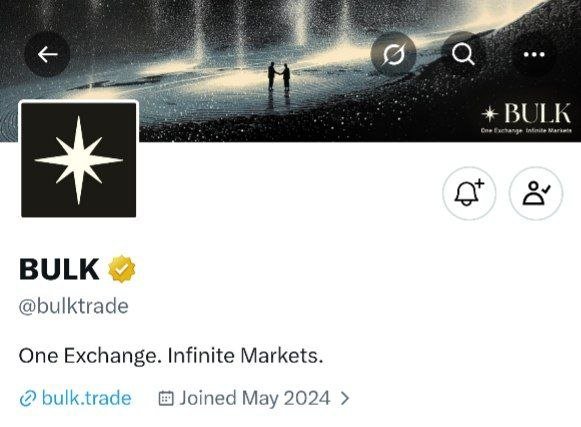 A screenshot of BULK's X (Twitter) profile page (@bulktrade) showing their logo, the tagline "One Exchange. Infinite Markets," and a website link to bulk.trade, with a cosmic-themed banner image. The profile supports the post's message about BULK being more than just another exchange, highlighting the platform's branding and their May 2024 join date as context for their ongoing Season 4 airdrop campaign.