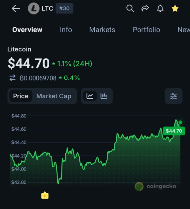 The image shows a black screen displaying information about Litecoin, including its current market price and some analysis of the cryptocurrency's value over time.