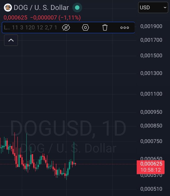 A TradingView chart of DOG/USD (Dogecoin) shows the current price at 0.000625, down 1.11% on the daily timeframe, with price action appearing to stabilize near recent lows. The chart visually supports the post's claim that "the bottom is here," as the candlesticks show DOG consolidating at a low support level with little room left but to move upward—or "to the moon or nothing."