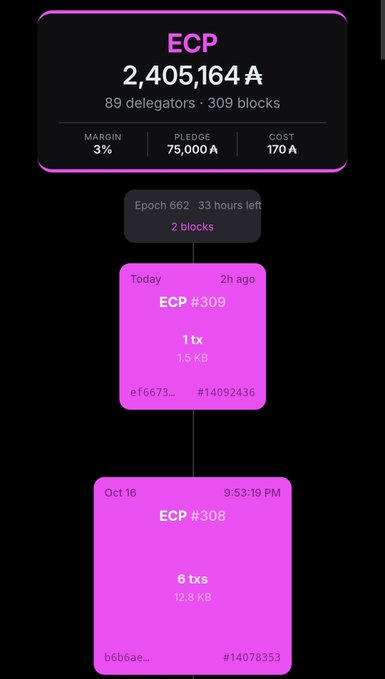 A blockchain explorer interface displaying 'ECP' with a balance of '2,405,164 A' and '89 delegators', showing details for 'ECP #309' and 'ECP #308' blocks against a black background with pink and purple accents.