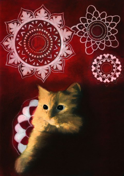 An orange and white cat lies on a red surface surrounded by decorative white mandala patterns, with a curved patterned object beside it.