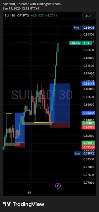 A TradingView chart on a 30-minute timeframe shows the SUI/USD crypto pair priced at 0.04637, with a recent sharp upward price spike.