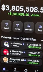 A screenshot of a crypto wallet showing a balance of $3,805,508.5 with a +35.82% increase, listing token perps collectibles including Artificial Intelligence, A Meme Coin, and Anonymous Coin.