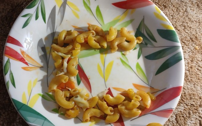 A paper plate with a colorful leaf pattern holds macaroni pasta arranged to form the letter 'E'.