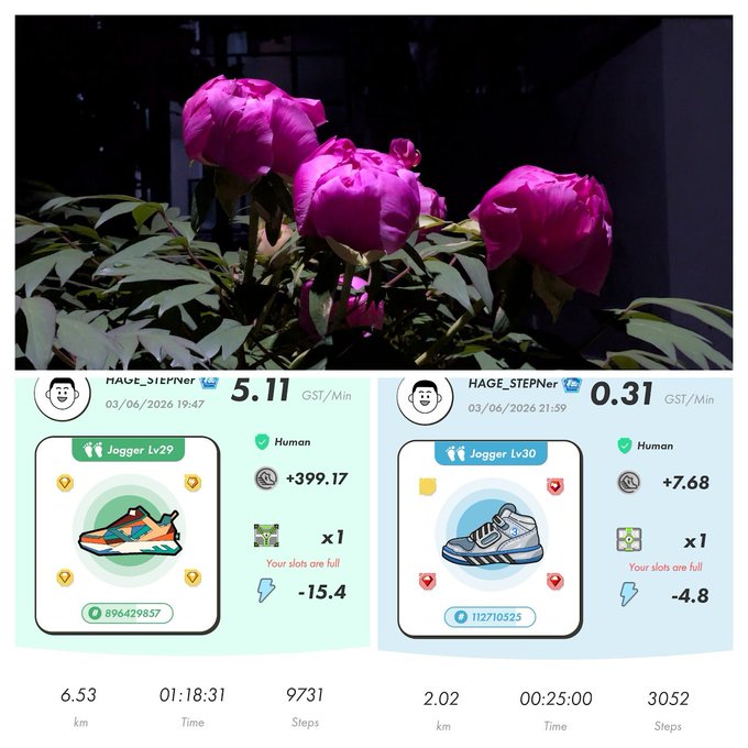 The image shows a pair of pink flowers with green leaves, as well as two different types of shoes displayed next to them. The text "HAVE STEPPERS" can be seen near the flowers, while "LAGER" is visible in the background. The post appears to be about tracking steps taken during a run or workout and includes information on how many steps were taken at various times throughout the day.