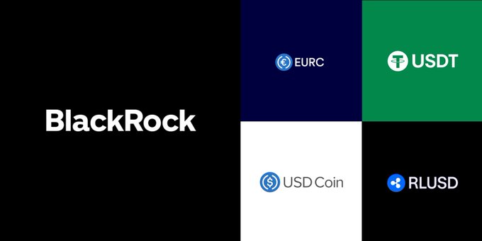 BlackRock graphic displaying four tokenized/stablecoin partnerships: EURC, USDT, USD Coin (USDC), and RLUSD.