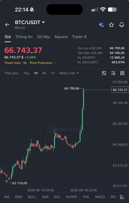 A mobile screenshot of the Binance app showing the BTC/USDT (Bitcoin) trading chart with the price at $66,743.37, up +3.08%, on a 1-hour timeframe.