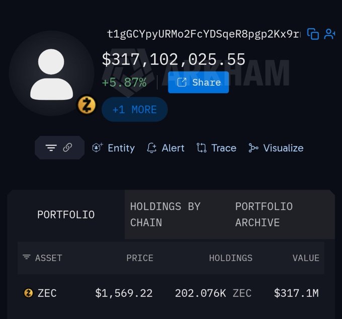 A cryptocurrency wallet dashboard showing a balance of $317,102,025.55 with a +5.87% gain, holding 202.076K ZEC at $1,569.22 per coin, addressed to a wallet starting with 't1gGCYpyURMo2FcYDSqeR8pgp2Kx9r' with a 'BRAHAM' watermark.