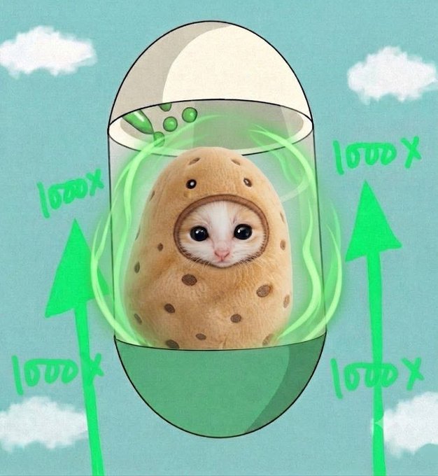 A whimsical digital illustration of a cat in a potato costume inside a floating green capsule, surrounded by green upward arrows labeled '1000X', set against a light blue sky with clouds.