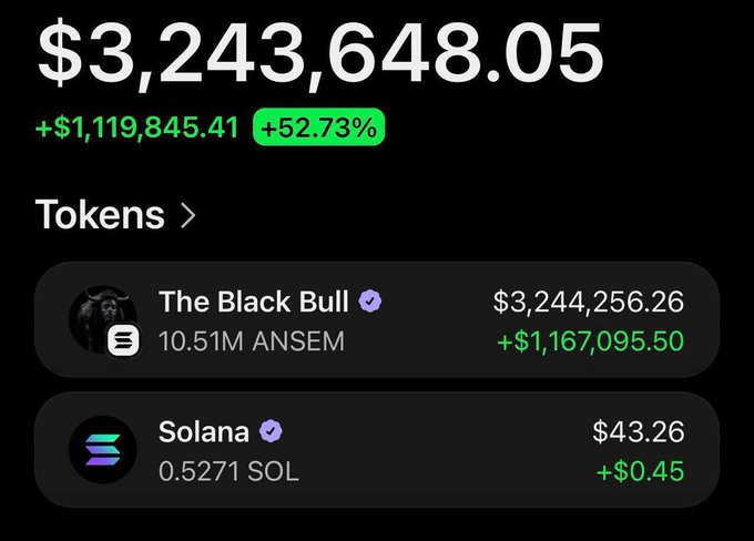A cryptocurrency portfolio dashboard showing a total balance of $3,243,648.05 (+$1,119,845.41, +52.73%), including holdings in 'The Black Bull' (ANSEM token) and Solana (SOL).