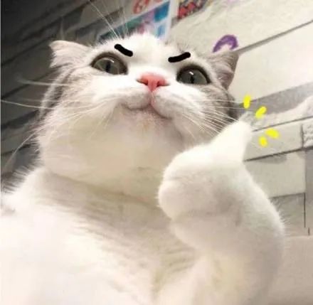 A white cat with digitally added angry eyebrows and a raised paw giving a thumbs-up gesture with yellow sparkle effects.