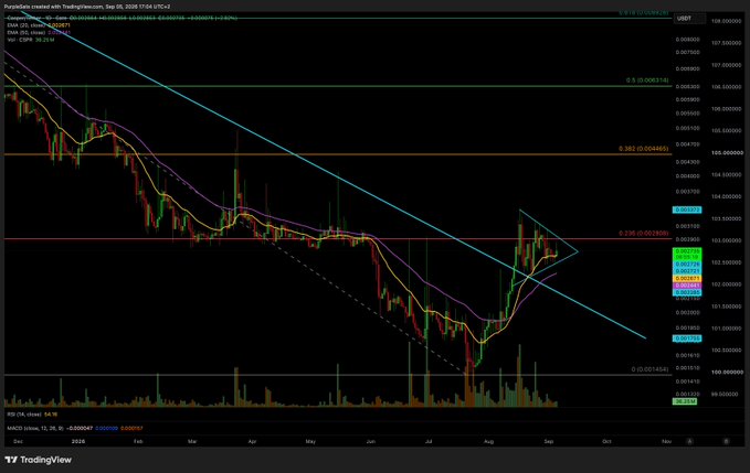 A TradingView candlestick chart for the PEPE/USDT pair on Binance, dated September 25, 2026, showing a descending trendline pattern.