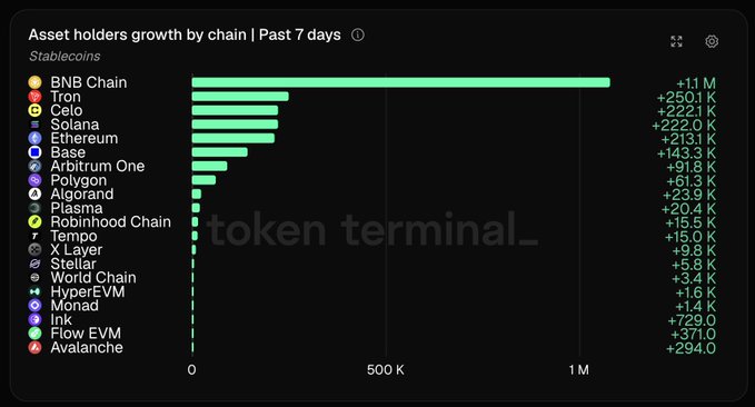 A Token Terminal chart titled 'Asset holders growth by chain | Past 7 days' for stablecoins, with BNB Chain leading at +1.1 M, followed by Tron (+250.1 K), Celo (+222.1 K), Solana (+222.0 K), and others like Ethereum, Base, and Avalanche.