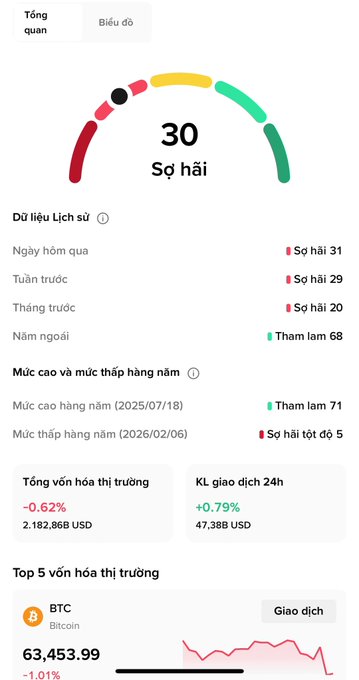 A cryptocurrency app interface in Vietnamese showing a Fear & Greed Index of 30 ('Sợ hãi'), with historical data and Bitcoin (BTC) trading at 63,453.99, down 1.01%.