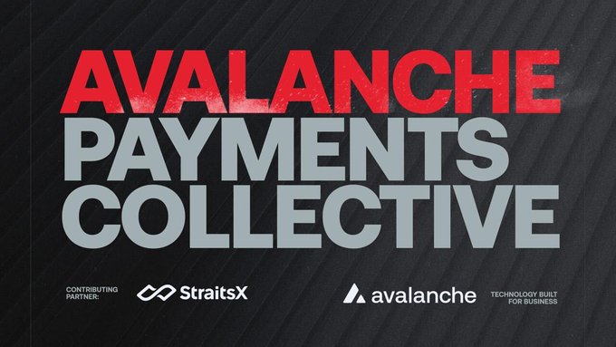 The image features a poster with the text "AVACLE payments collective" written in red letters against a black background. Below this, there are two logos - one of a company called "StraitsX" and another logo for a company named "avacle". The text on the poster indicates that the Avalanche Payments Collective is a group of fintech companies working together to establish shared standards for faster global transfers using stablecoins.