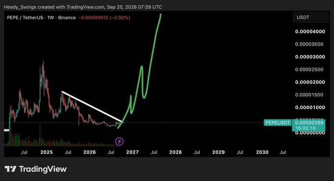 A TradingView weekly chart for PEPE/TetherUS on Binance shows price action from 2025-2030, with annotations marking a 'Left Shoulder', 'Head', and 'Right Shoulder' pattern.