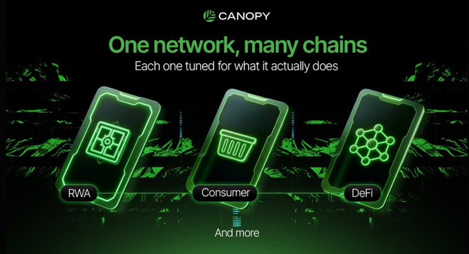 A promotional graphic for Canopy featuring the tagline 'One network, many chains — Each one tuned for what it actually does' with three smartphone displays showing RWA, Consumer, and DeFi blockchain categories.
