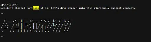 The image features a screenshot of a computer screen with a large block of text that reads "Fartwzz." The text appears to be from an old meme or message, as there are additional words surrounding the main phrase such as "with all" and "old memes bonding on usdc i will redev fartcoin on usdc". The image also contains a logo for a website called usdc.
