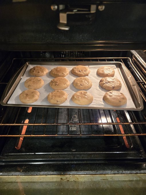 A tray of approximately 12 chocolate chip cookies baking on parchment paper inside an oven on a metal rack.