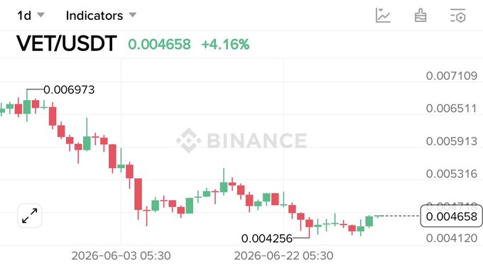 A Binance 1-day candlestick chart for VET/USDT showing a price of 0.004658 (+4.16%), with visible highs of 0.006973 and lows of 0.004256.