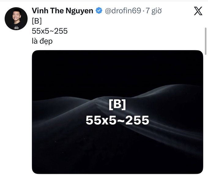 A social media post by Vinh The Nguyen (@drofin69) showing the text '[B] 55x5~255 là đẹp' alongside a dark image with the same '[B] 55x5~255' text overlaid.