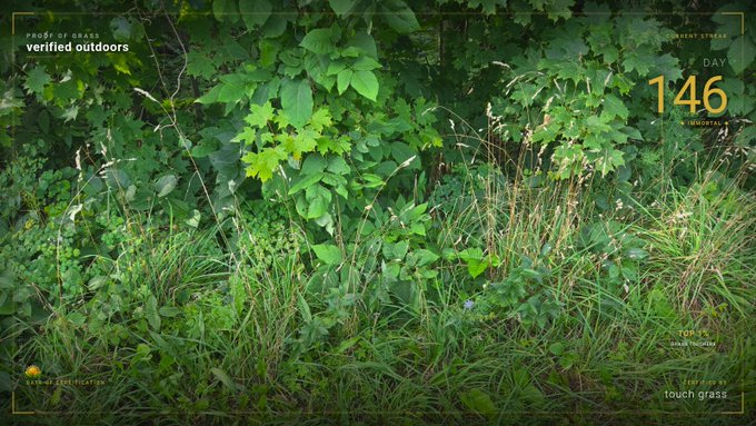 A photo of dense green grass and foliage with overlaid text reading 'PROOF OF GRASS verified outdoors', 'CURRENT STREAK DAY 146', and 'touch grass'.