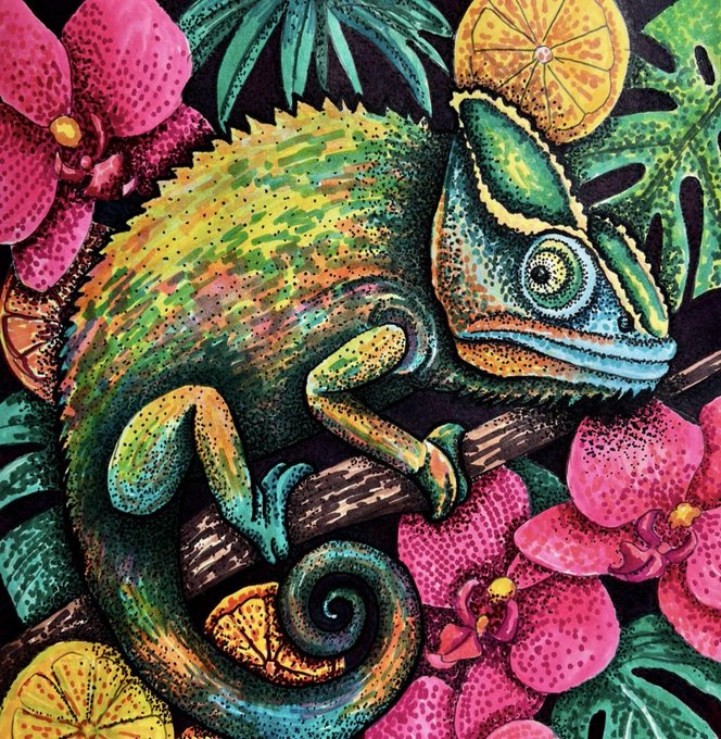 A vibrant, highly textured illustration of a colorful chameleon with a curled tail, perched on a branch surrounded by bright pink orchids and sliced citrus fruit against a dark background.