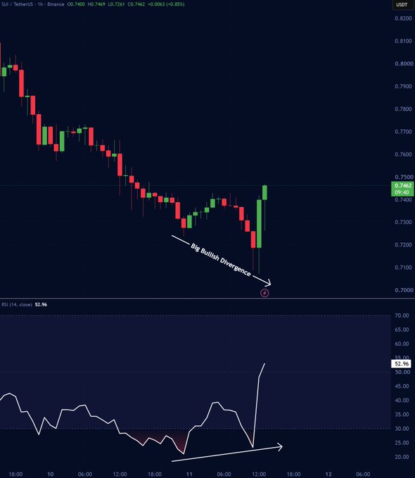 A cryptocurrency chart for SUI/USDT on Binance showing price action around 0.7462 with annotations indicating a "Big Bullish Divergence" on the RSI (14) indicator.