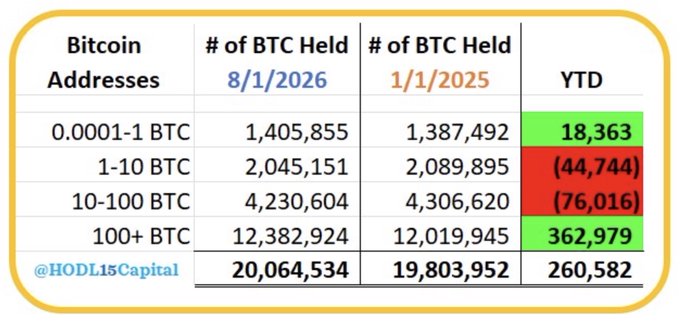 The image is a table from @HODL15Capital showing Bitcoin distribution across address categories on 8/1/2026 vs. 1/1/2025, with YTD changes of +18,363 addresses (0.0001-1 BTC), -44,744 (1-10 BTC), -76,016 (10-100 BTC), and +362,979 (100+ BTC), indicating a YTD accumulation trend among large holders despite mid-tier exits.