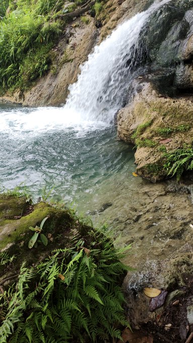 A small waterfall cascades into a clear turquoise pool surrounded by moss-covered rocks and lush green ferns.