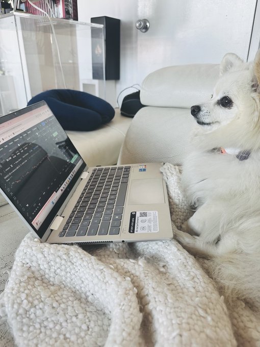 A fluffy white Pomeranian dog sitting on a white blanket next to an open laptop on a couch, appearing to look at the screen.