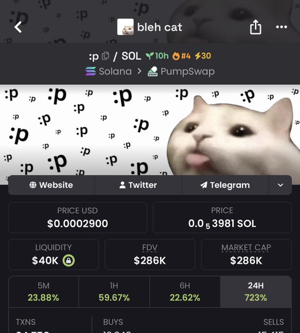 A screenshot of the "bleh cat" PumpSwap memecoin on Solana shows a sticker-style cat photo with various ":p" text scattered around, priced at $0.0002900 (0.0000053981 SOL), with a $286K market cap, $40K liquidity, and a 723% gain over 24 hours—matching the contract address "8izw4XNQk4RuJtH88wc1EKQ4RLqGiUqKXZUTS51Apump" in the post.