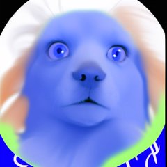 A blue-tinted app icon featuring a stylized puppy or bear face with wide eyes, appearing to be a digital character or mascot logo.