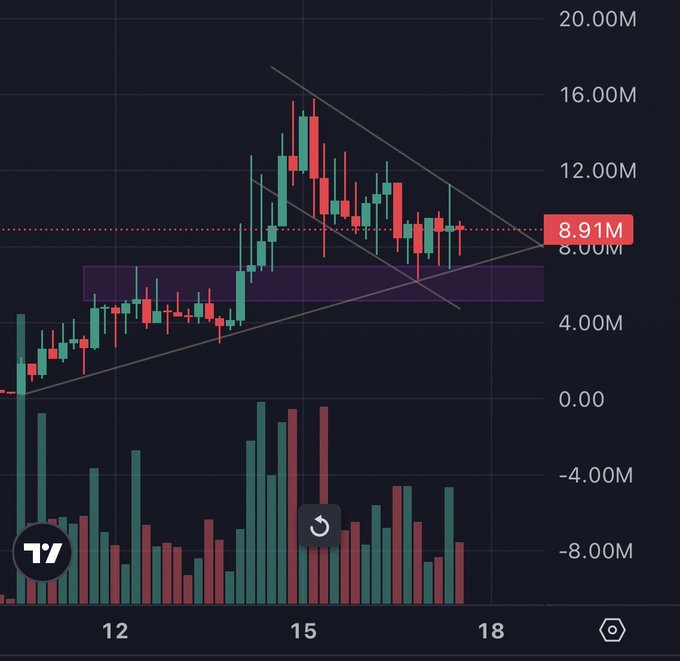 A financial candlestick chart showing a price level of 8.91M with a descending triangle formation, featuring the TradingView logo.