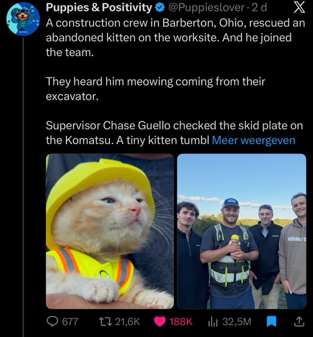 A X (Twitter) post from Puppies & Positivity (@Puppieslover) showing a construction crew from Barberton, Ohio that rescued an abandoned kitten, featuring images of the kitten in a yellow safety hat and crew members.