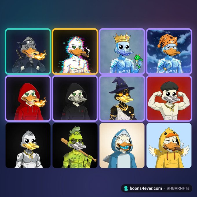 A grid of 12 cartoon duck NFT characters in various costumes (ninja, king, wizard, etc.) with text 'boons4ever.com · #HBARNFTs' at the bottom.