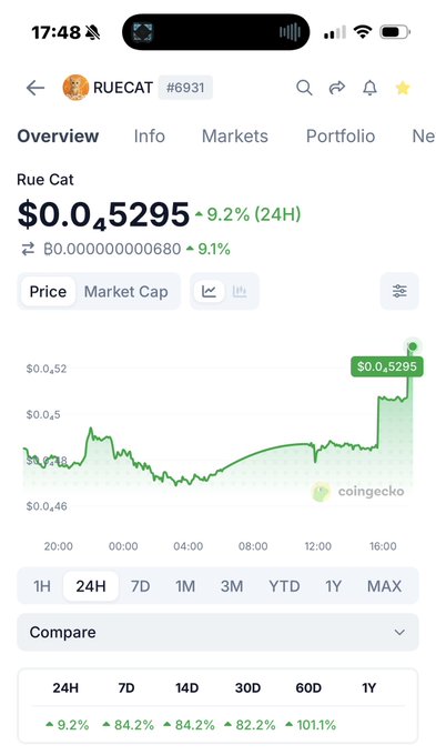 CoinGecko mobile screenshot showing RUECAT token (#6931) priced at $0.05295 with a 9.2% 24-hour gain highlighted in green.