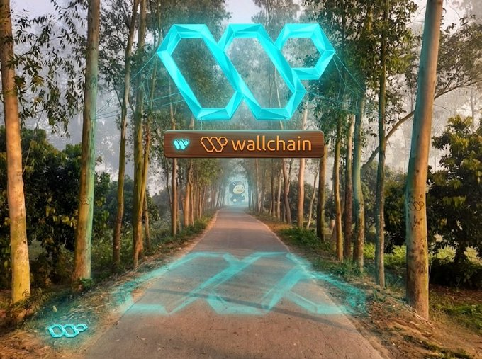 The image features a road with trees lining both sides, leading towards an entrance that reads "Wallchain" above a blue sign. The road appears to be made of dirt or gravel, adding a rustic touch to the scene. The surrounding area is filled with trees and foliage, creating a natural and serene atmosphere. The post about Wallchain emphasizes the importance of contribution, attribution, and reputation in the context of Web3, suggesting that the focus should shift from assets themselves to the individuals who create value around them.