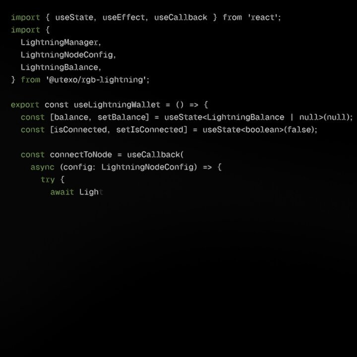 The image shows a screenshot of a computer program's code displayed on a webpage, possibly from the Bitcoin Lightning React Native SDK as suggested by the text at the top of the image. The focus should be on understanding the content shown in this screenshot as it is relevant to the discussion around instant payments and the use of blockchain technology within mobile applications.