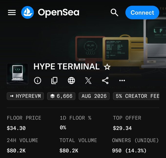 An OpenSea NFT collection page for 'HYPE TERMINAL' on the HyperEVM blockchain, showing 6,666 items with a floor price of $34.30 and total volume of $80.2K.