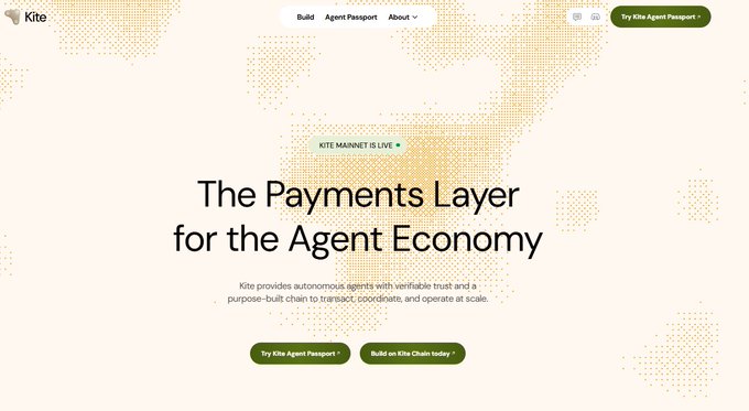 The homepage for 'Kite' displays the headline 'The Payments Layer for the Agent Economy,' describing their autonomous agent payment network, with a 'Try Kite Agent Passport' button visible.