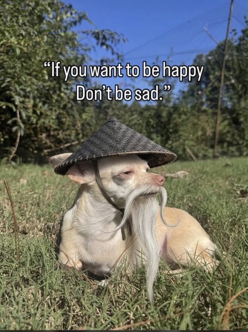 A small dog wearing a bamboo hat and a long white fake beard lies in the grass with the caption 'If you want to be happy Don't be sad.'
