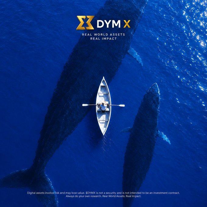 An aerial view of two large whales swimming alongside a small rowboat in deep blue water, featuring the "DYMX - REAL WORLD ASSETS REAL IMPACT" logo and disclaimer text at the bottom.