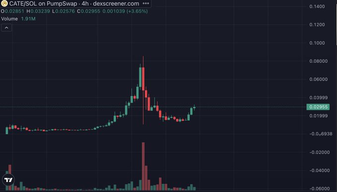 A 4-hour candlestick chart of CATE/SOL on PumpSwap via dexscreener shows the token trading at 0.02955 SOL with a 3.65% gain and 1.91M volume, displaying a sharp parabolic spike followed by a pullback and recovery, supporting the post's speculation of a new all-time high within 48 hours.