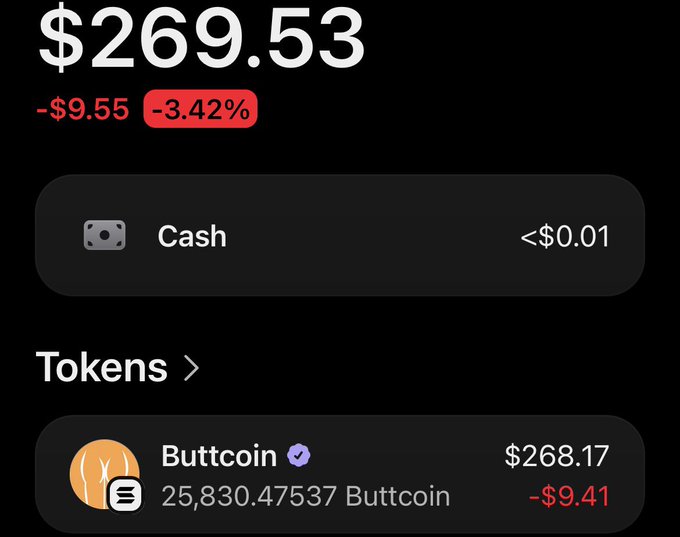 A financial portfolio dashboard showing a total of $269.53, down $9.55 (-3.42%), with cash of <$0.01 and a 'Buttcoin' token holding worth $268.17 (down $9.41).