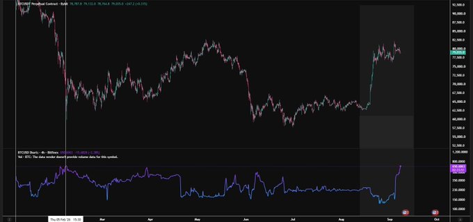 A Bitcoin candlestick chart on the 4-hour timeframe (BTCUSD on Bitfinex) shows BTC trading around $79,990, currently ranging between roughly $75,760 and $79,950, with the price recently rejected near $81,000. The RSI indicator below sits near 49.91 (neutral), while the accompanying analysis suggests rising Bitfinex short positions could signal an impending correction similar to the prior $90K to $60K decline.