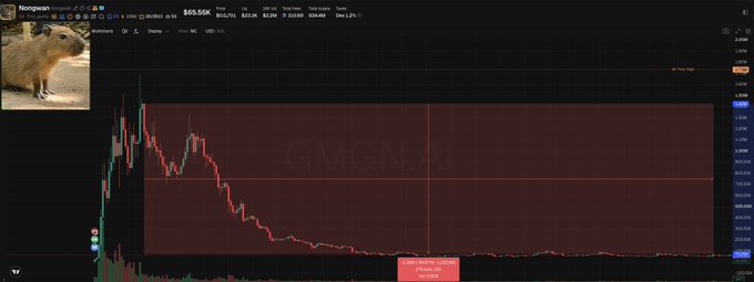A Nongwan (Fvvj98QtaA3RjVgeQn79NokiMaLgBRje1Q9bXetwpump) trading chart shows a dramatic price collapse from highs near $0.0055 down to roughly $0.0000032, with a small groundhog meme image in the corner illustrating the token's "saying goodbye" price action highlighted in the post.