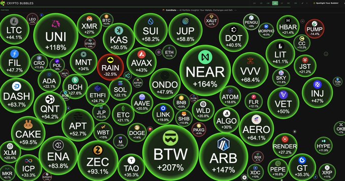 The image is a "Crypto Bubbles" heatmap visualization showing numerous altcoins with substantial green percentage gains, including notable performers like NEAR (+164%), BTW (+207%), ARB (+147%), UNI (+118%), ZEC (+93.1%), and ENA (+83.8%), with BTC itself shown as modest (+15.6%). 

The image humorously supports the post's message by illustrating that while someone ("little timmy") is still waiting for the Bitcoin bottom, the altcoin market has already surged dramatically, with most coins showing gains ranging from 20% to over 200%.