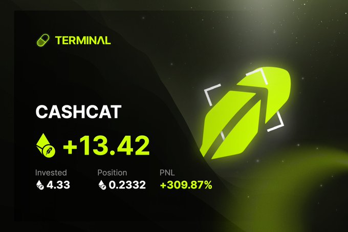 Crypto portfolio app screenshot showing CASHCAT token on Terminal with +13.42 gain, invested 4.33, position 0.2332, PNL +309.87%.